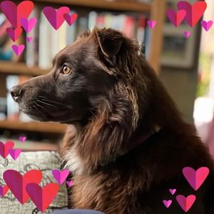 Meet your Posher, Cindy